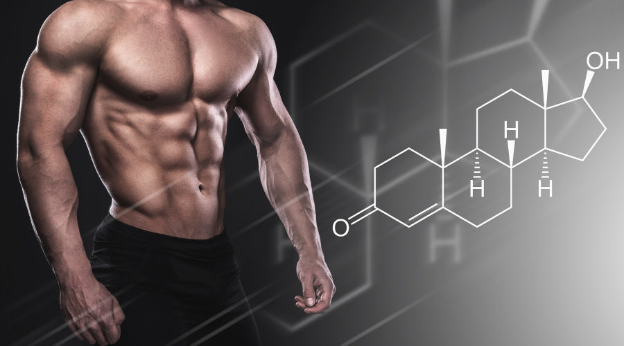 Testosterone Booster