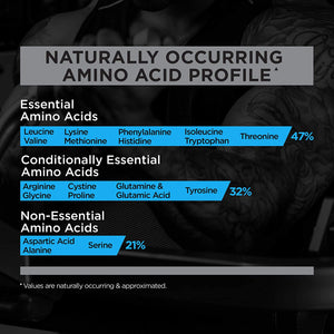 Rule-1-whey-blend-Chocolate-cc-3-beast-fit-nutrition