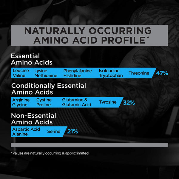 Rule-1-whey-blend-Chocolate-cc-3-beast-fit-nutrition