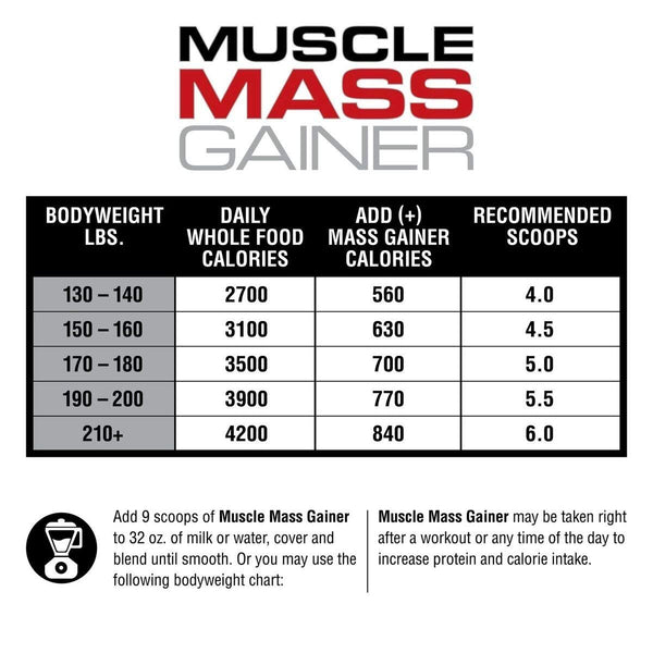 LABRADA MUSCLE MASS GAINER Beast Fit Nutrition